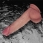 Vibrator Sliding Skin Pro II 20cm Lovetoy
